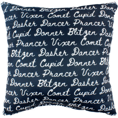  Reindeer Names Square Pillow Cover & Insert