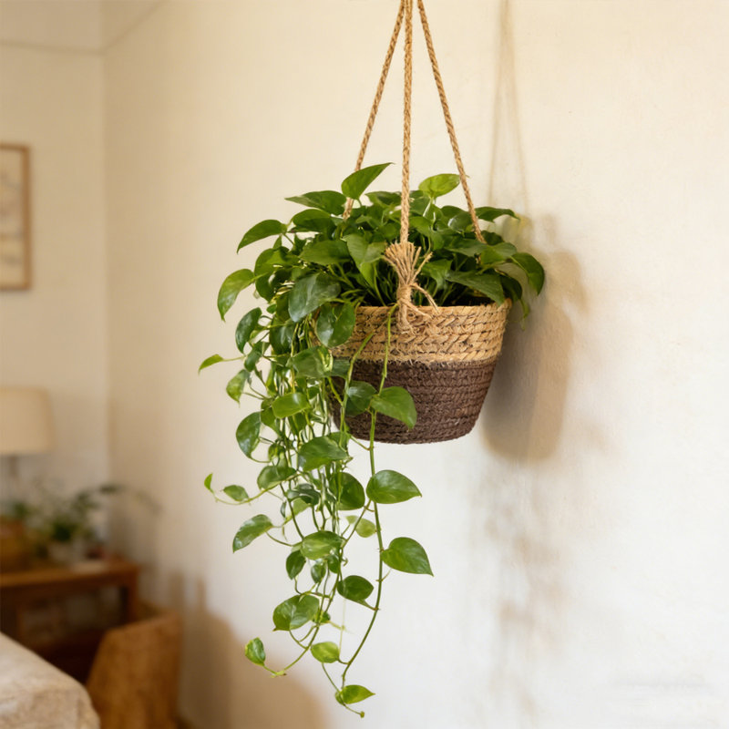 Ensemble de 3 pots de fleurs suspendus en paille, porte-pot de fleurs intérieur et extérieur tissé en corde (ensemble de 3)