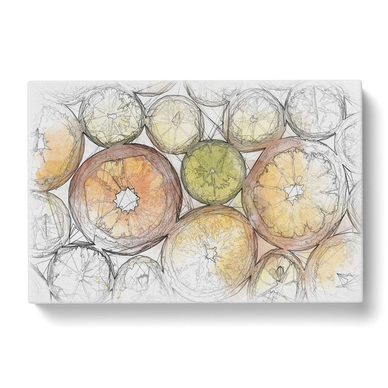 Sliced Citrus Fruit Sketch - Wrapped Canvas, 40cm H x 60cm W x 3cm D