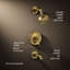 Purist® Pressure-Balancing Thermostatic Tub and Shower Faucet-65158939-96107265-126228654