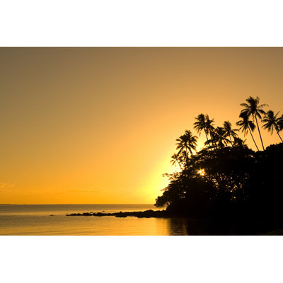Golden Tropics by Colonel