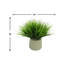 Vanilla Grass Arranged In A Fiberstone Pot