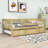 Wood Daybed with Twin Trundle and Guardrails-537538286-537538291