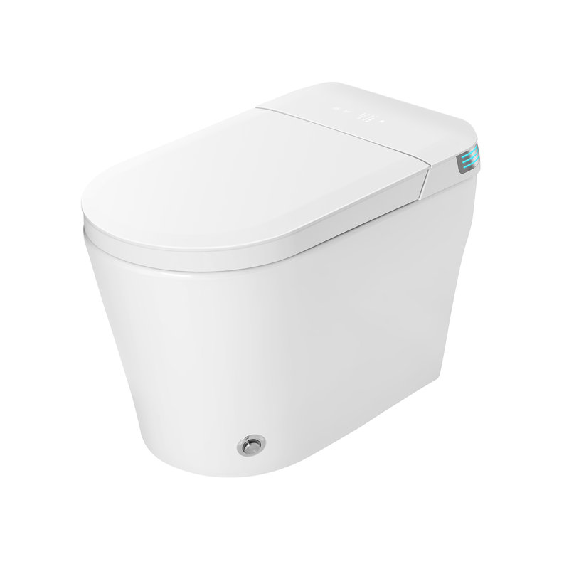1.28GPF Smart Toilet With Tank Self-Clean Bidet Sprayer, Heat Seat, Warm Wash/Dryer, Soft Closing, Remote Control