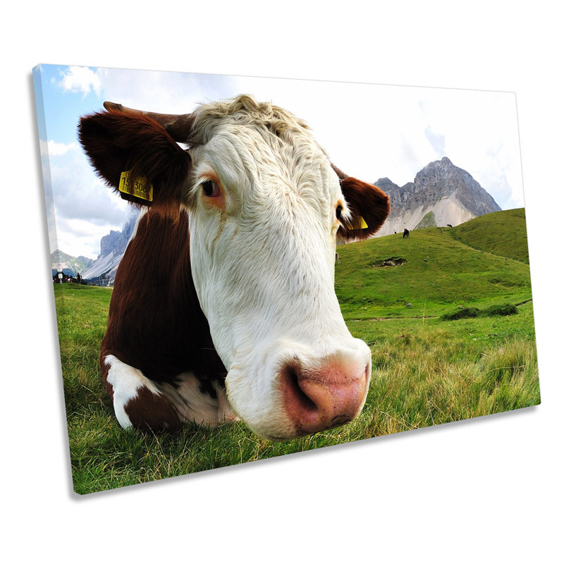 Highland Cow - Wrapped Canvas Print, 40.6cm H x 61cm W