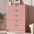 Rose est en rupture de stock
