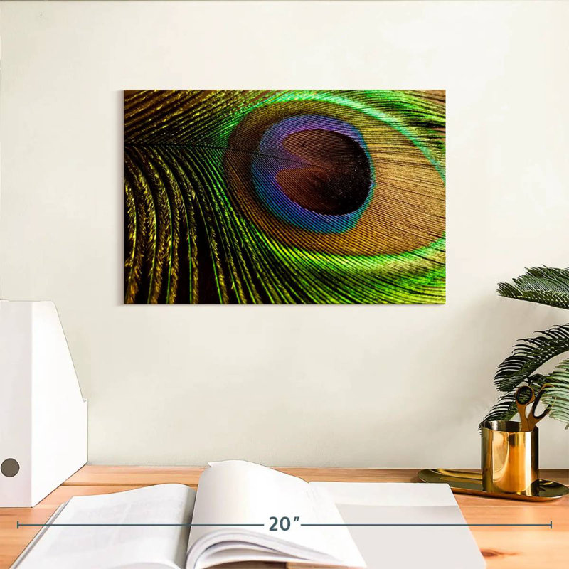Brampt Eyespot On Peacock Feather, 8" H x 12" W