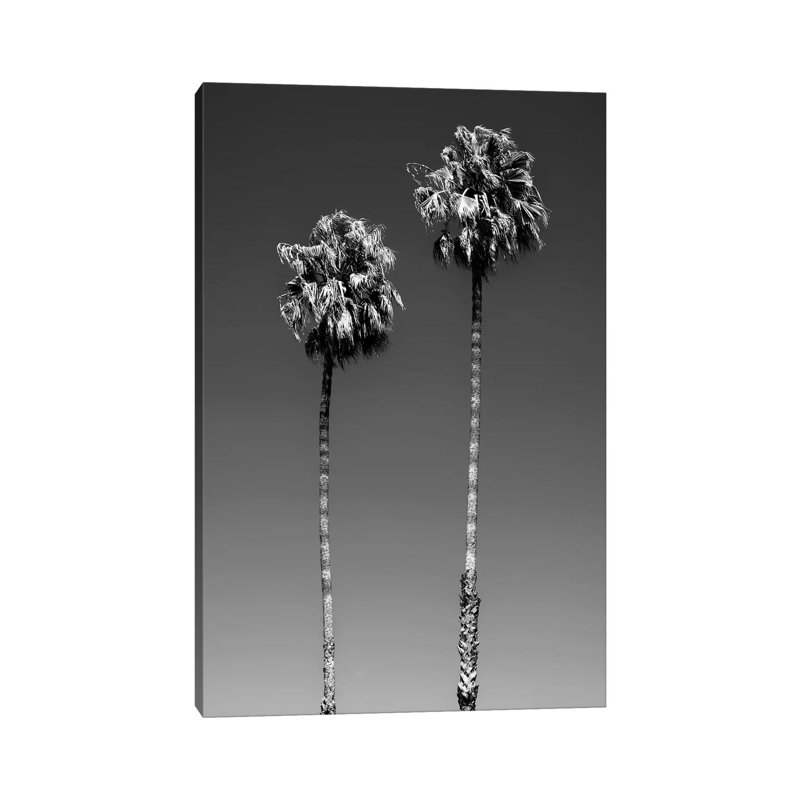 Beverly Hills Palm Trees by Philippe Hugonnard - Wrapped Canvas Print, 101.6 cm H x 66.04 cm W x 1.91 cm D