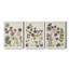 Pressed Flower Arrangement IV - Ensemble de 3 peintures sur toile encadrées-990433039-990433036
