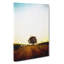 Lone Tree at Dusk Abstract Art - Wrapped Canvas Graphic Art Print-55309403
