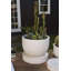 Icarus Handmade Ceramic Pot Planter-2046806204
