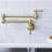 Dilon Kitchen Faucet-65223064