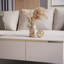 Four Leg Coffee Table with Storage