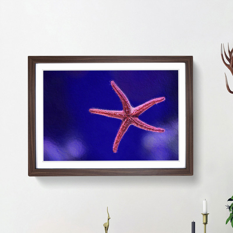 Pink Starfish - Picture Frame Graphic Art Print, 27cm H x 36cm W x 2cm D, Walnut Framed
