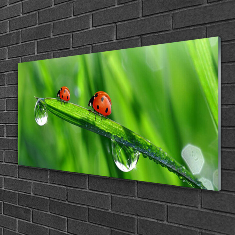 Floral Ladybird Beetle - Unframed Photograph on Glass