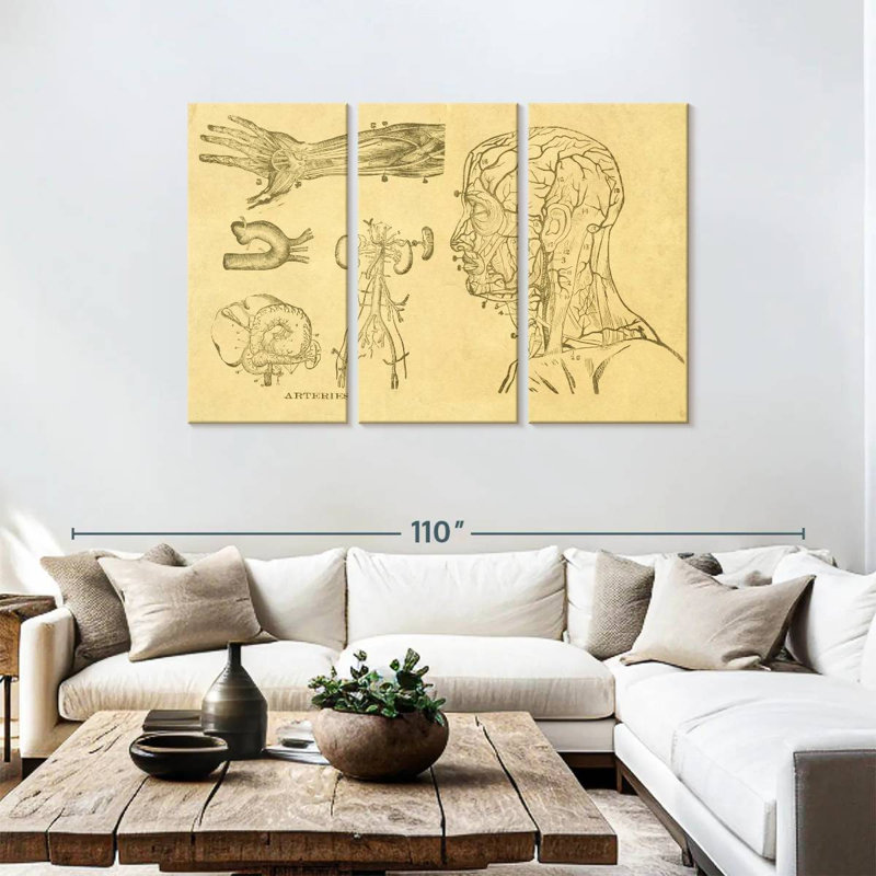 Esquisse d'art Alcaraz, H 48 po x l 74 po