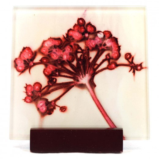 Glass Square 1 Piece Coaster