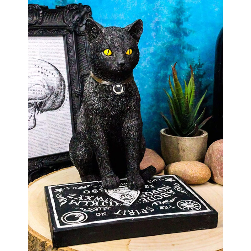 Jonesha, chat noir d'Halloween