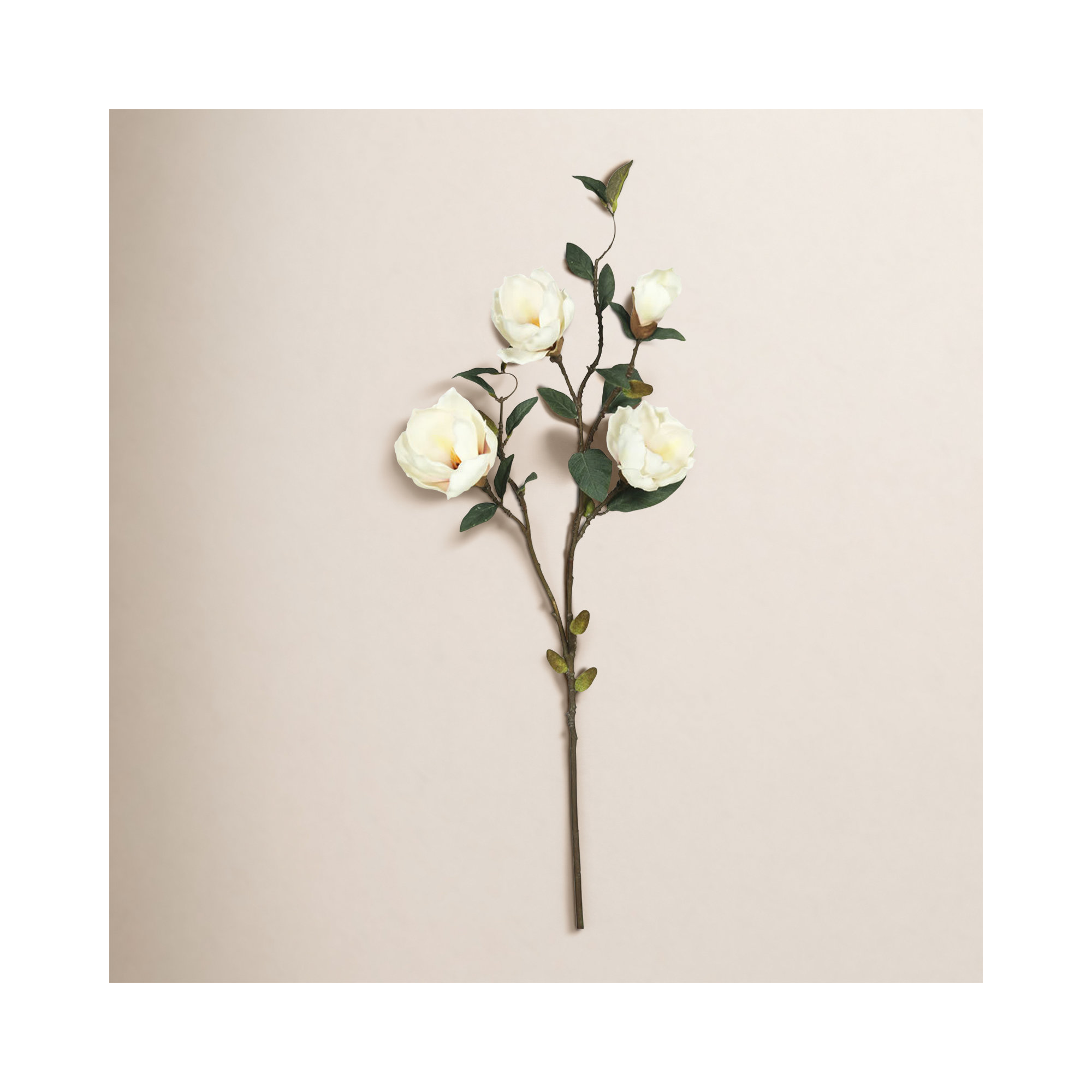 Magnolia Artificial floral Stem, Cream