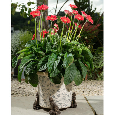 Boling Metal Planter Feet
