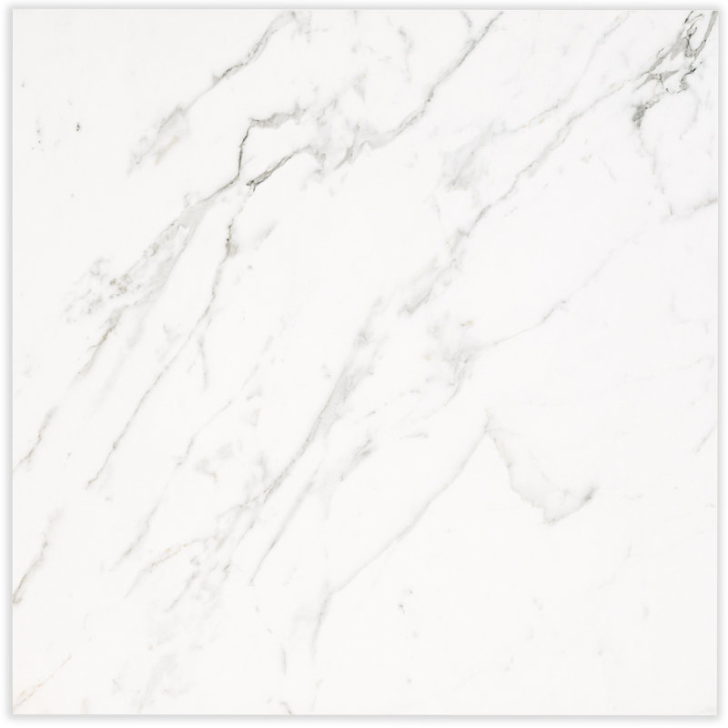 Palazza 24 in. x 24 in. Matte Porcelain Marble Look Floor and Wall Tile, Nocturne