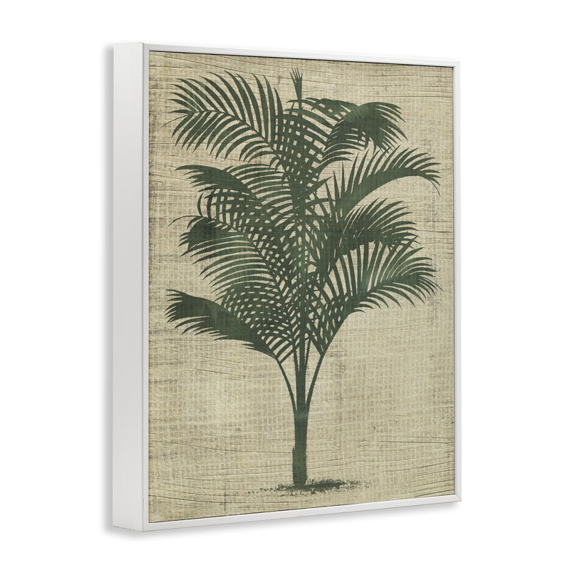  Vintage Palm Plant Grey Framed Giclee Art by June Erica Vess, H 30 po x l 24 po