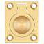 Ring Pull-14747627