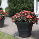 Lanesborough Resin Pot Planter