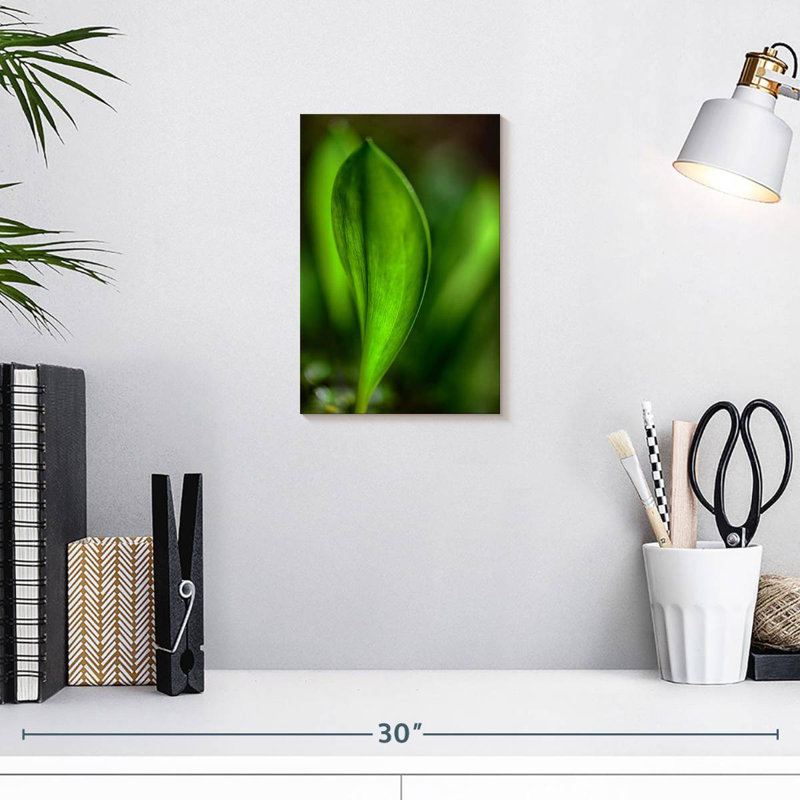 Harnek Only In Spring, 12" H x 8" W