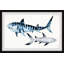 «Sharks Duo» de Ciotti, reproduction encadrée-1993418497