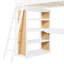 Lit mezzanine avec échelle, tablettes et bureau