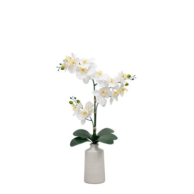 25" Natural Touch Tabletop Orchid
