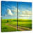 Alvord Summer Green Fields-109036783