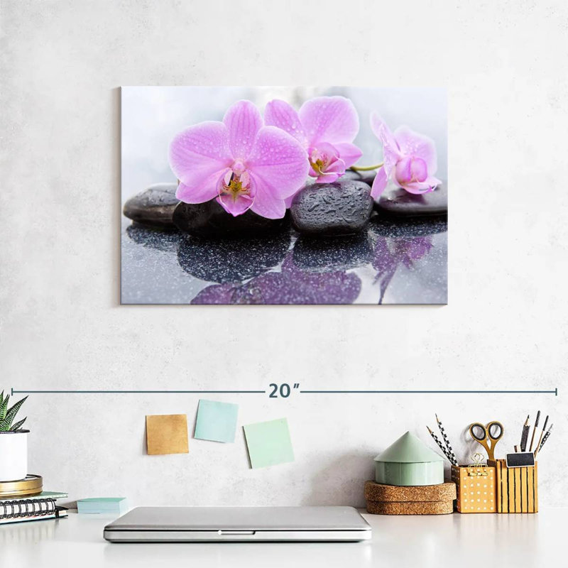 Orchidées Harnek Dewy Zen, H 8 po x l 12 po