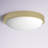Mila Glass LED Flush Mount-949628973