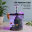 Mini Fish Tank with Filter and Light, Small Fish Tank, 6Pcs Tall Aquarium Starter Kit,3.5 Gallon Goldfish Tank for Beta Aquarium Starter Kits