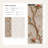 Birds Wallpaper Flowers Branches Decorative Mural