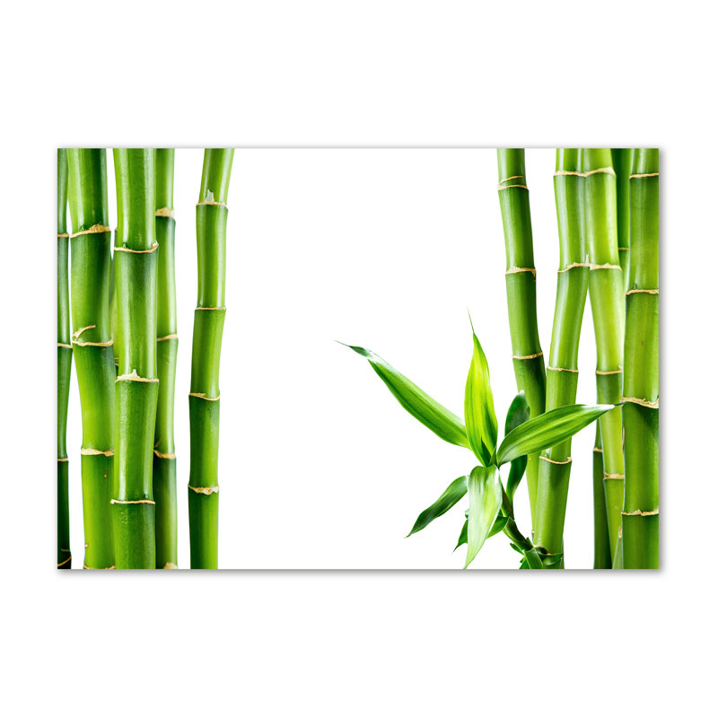 Bamboo - Wrapped Canvas Print