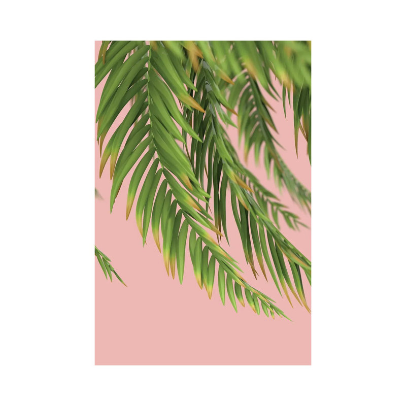 Palm Branch On A Peach Background I Vertical by Mike Kiev - Wrapped Canvas Print, 101.6 cm H x 66.04 cm W x 3.175 cm D