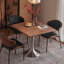 Brown Square Solid Wood Dining table-214418552
