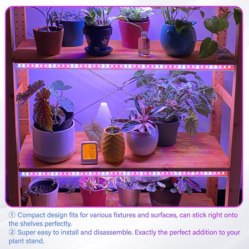 IPower 60W à DEL avec bandes de lumière pour plantes d'intérieur avec minuterie marche / arrêt automatique 3/9 / 12H, 10 niveaux d'intensité variable, 48 DEL par tube, pour la plante grasse, rouge et bleu, 4 tubes, 1 paquet