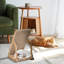 Maison pour chat Eilbertus