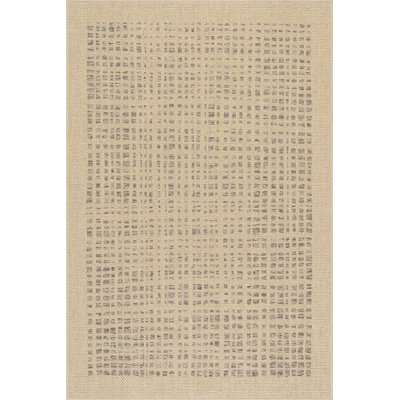  Caelistra Modern Checkered Rug