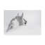 Reproduction d’art sur toile tendue « White Horse on White »-513967988