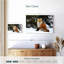 Renard roux d'hiver-107509346