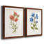 «Botanical I», ensemble de 2 reproductions d'art-271774487-271774477-271774458