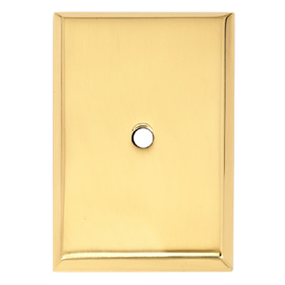 2.63" Back Plate