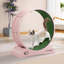 Roue pour chat, teaser pour chat-1675830009