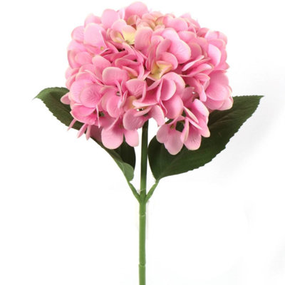 Ryan Hydrangea Stems