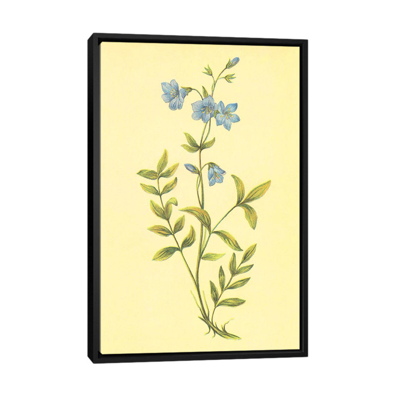 « grecs valerian », impression sur toile, H 26 po x l 18 po x P 1,5 po, Toile avec cadre noir, Pas de tapis